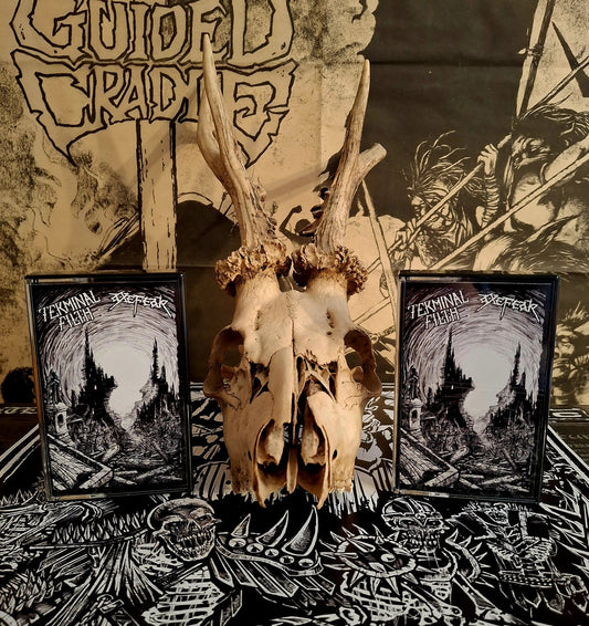Terminal Filth/Axefear - Split MC