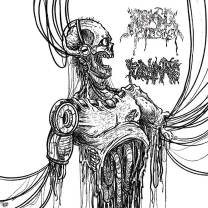 Fulminate/Reeking Pieces  - Split CD