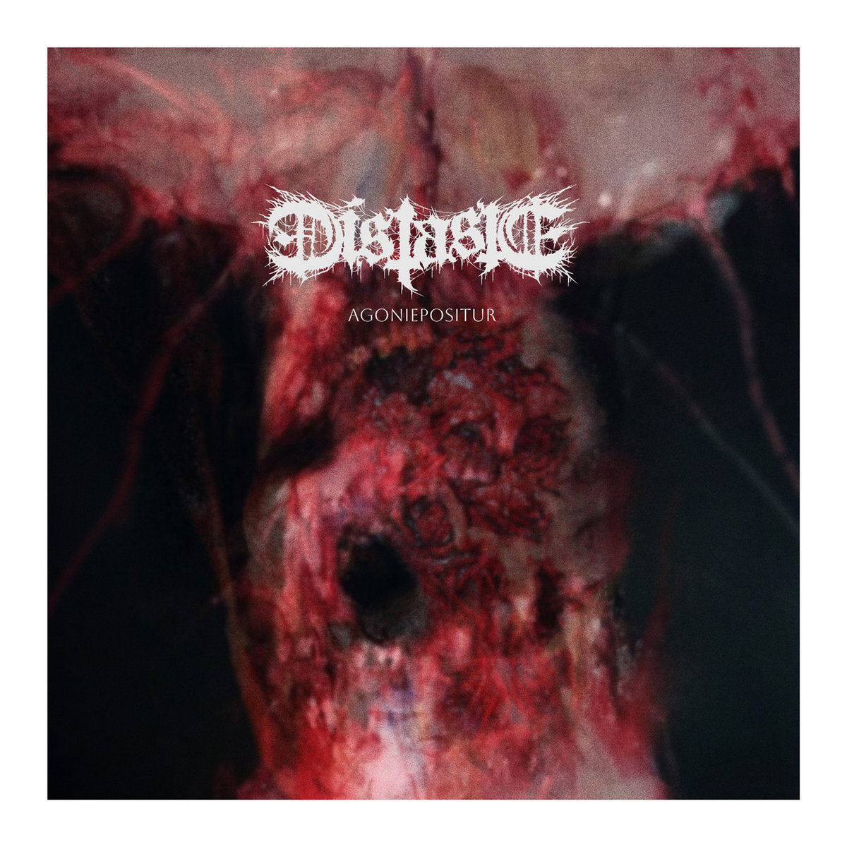 Distaste -  Agoniepositur CD