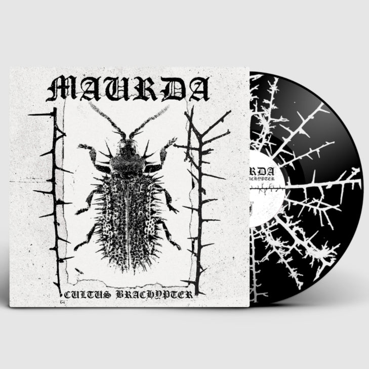 Maurda - Cultus Brachypter LP