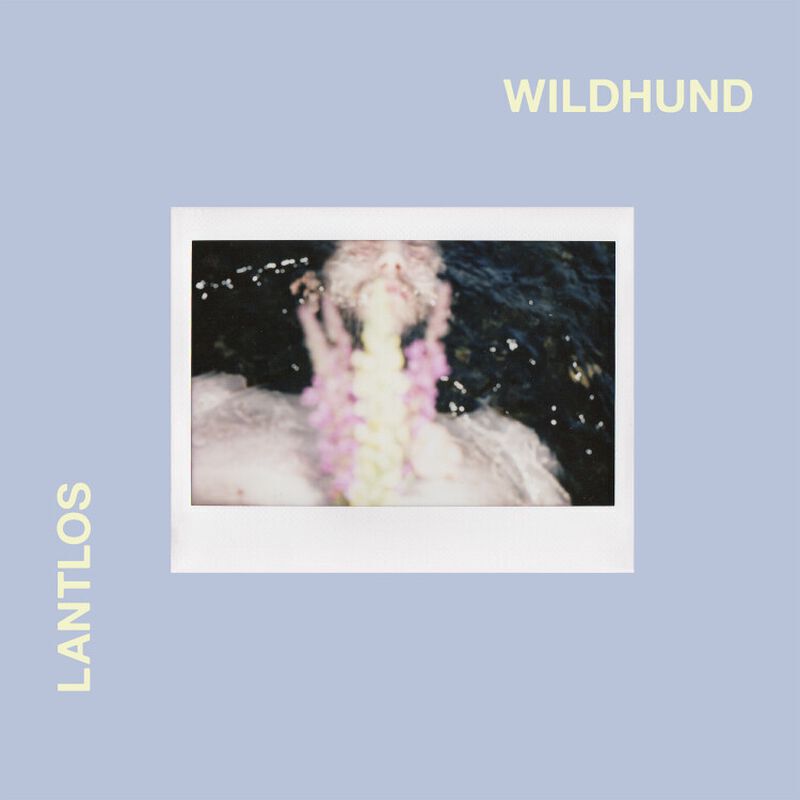 Lantlos - Wildhund CD