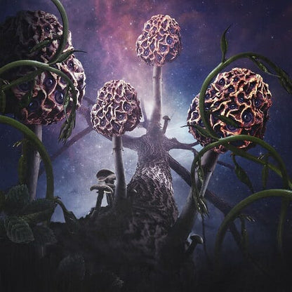 Blut Aus Nord - Hallucinogen CD